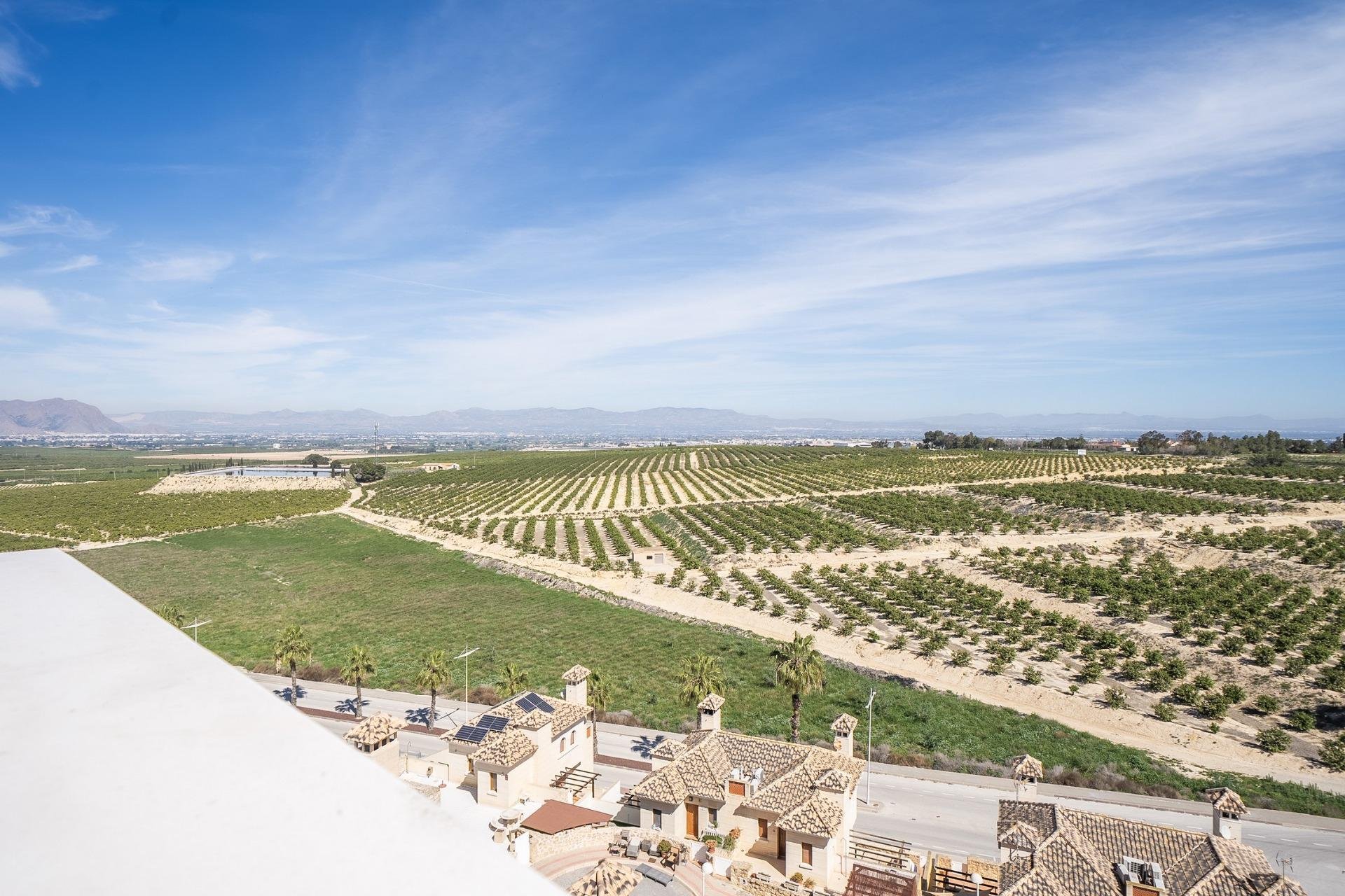 Villa en Algorfa, Alicante, España 6 dormitorios, 436 m2 No. 151533