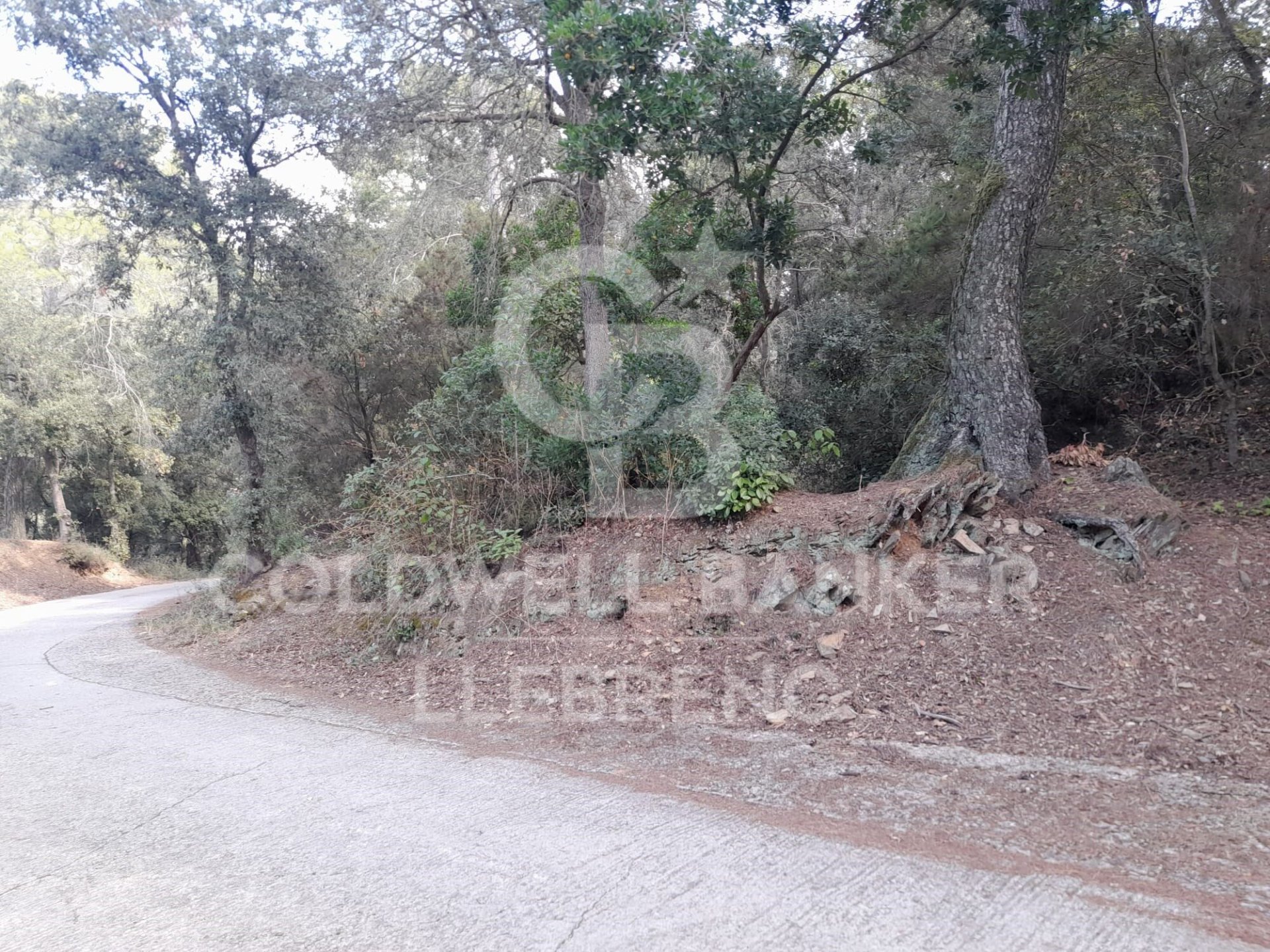 Land in Barcelona, Spanien 1041 m2 Nr. 186206
