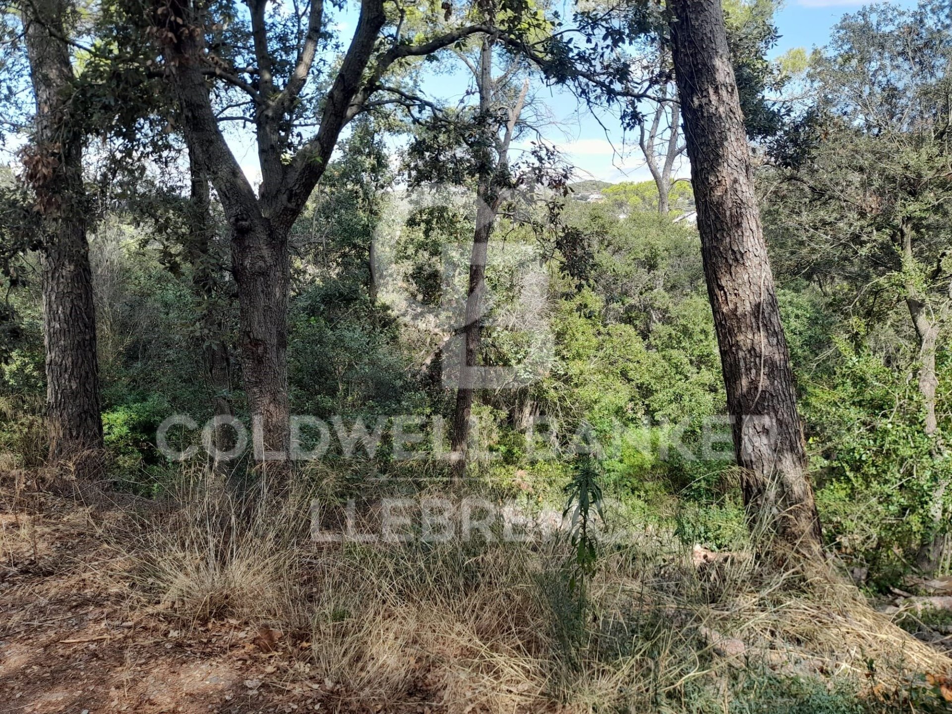Land in Barcelona, Spanien 1041 m2 Nr. 186206