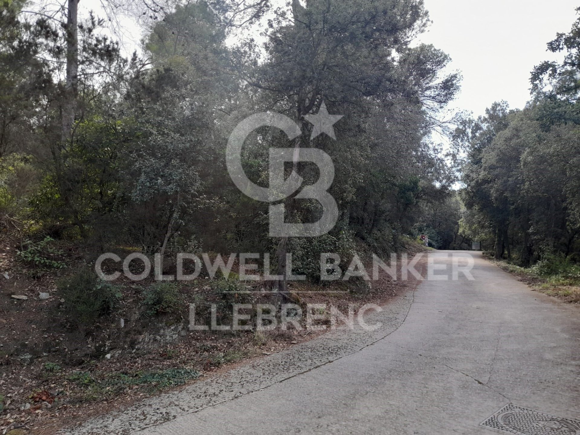 Land in Barcelona, Spanien 1041 m2 Nr. 186206