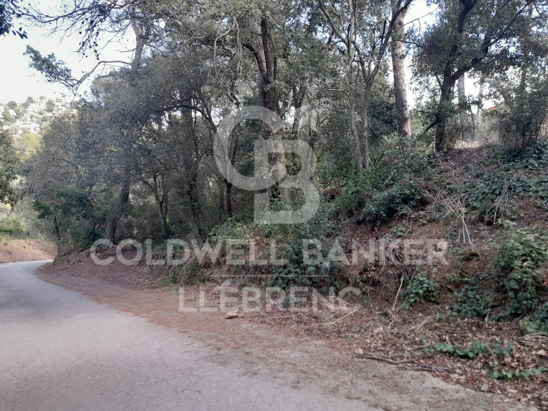 Land in Barcelona, Spanien 1041 m2 Nr. 186206