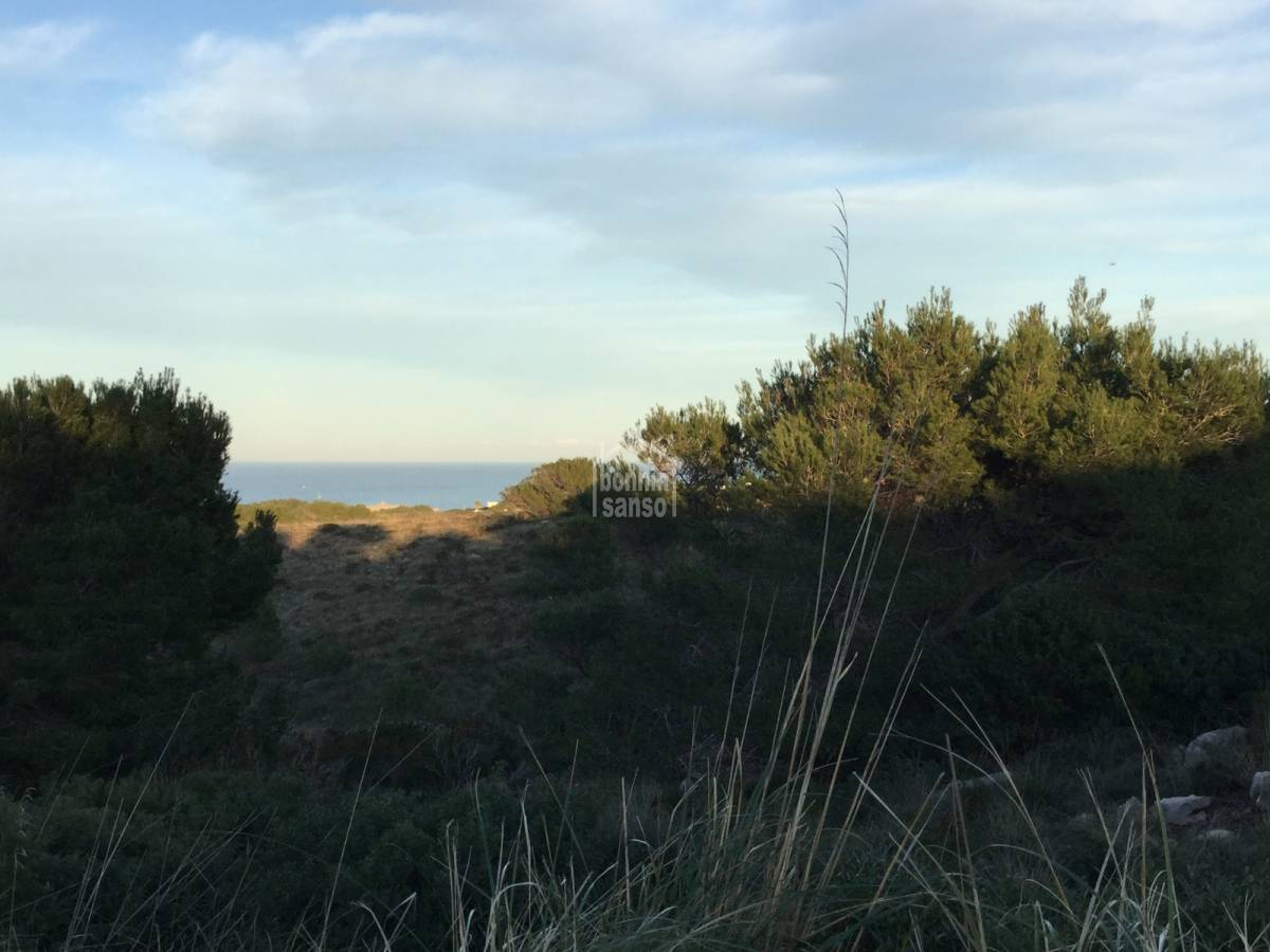 Land plot à Es Mercadal, Menorca, Espagne No. 65455