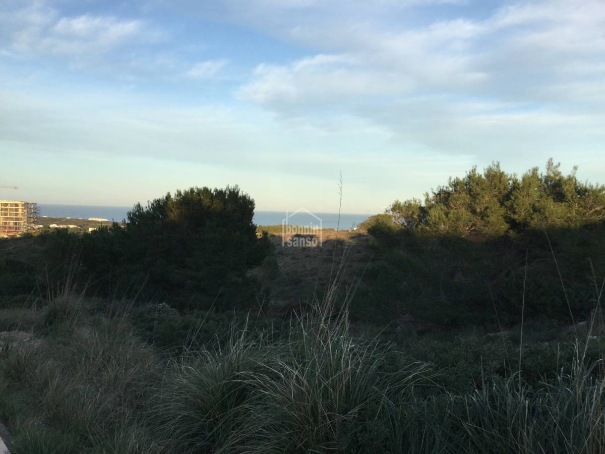 Land plot à Es Mercadal, Menorca, Espagne No. 65455
