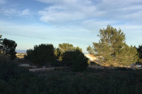 Land plot in Es Mercadal, Menorca, Spain No. 65456