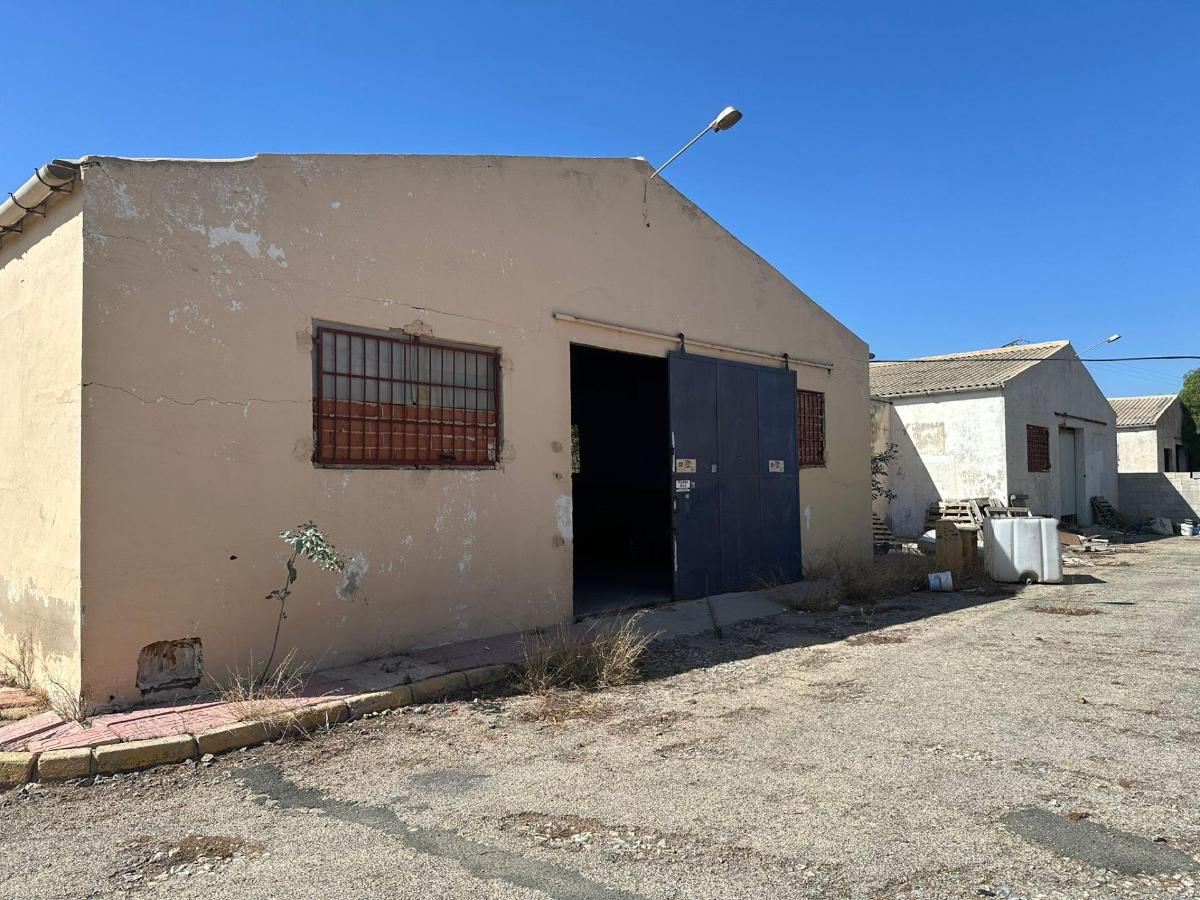 Commercial property à Rojales, Alicante, Espagne 1200 m2 No. 113020