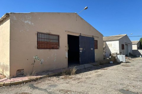 Commercial property in Rojales, Alicante, Spain 1200 sq.m. No. 113020