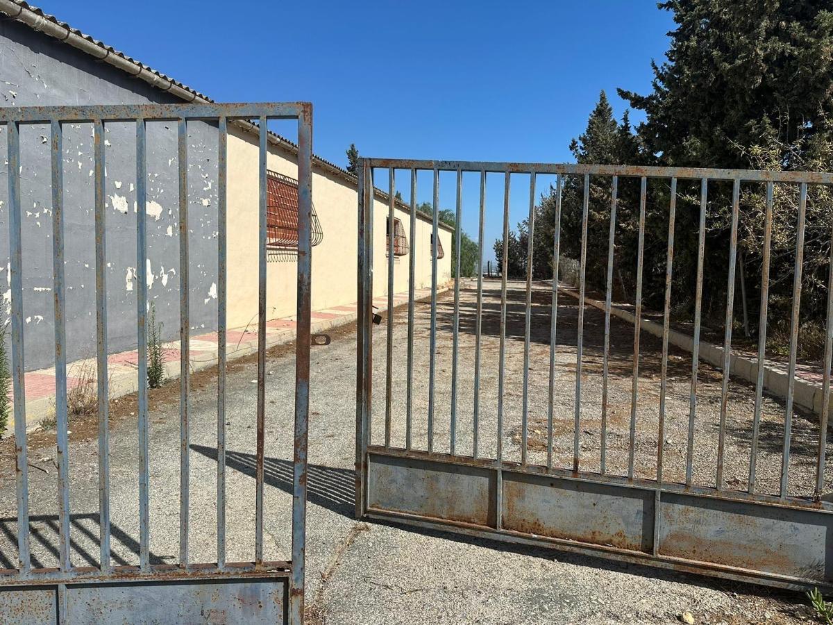 Commercial property à Rojales, Alicante, Espagne 1200 m2 No. 113020