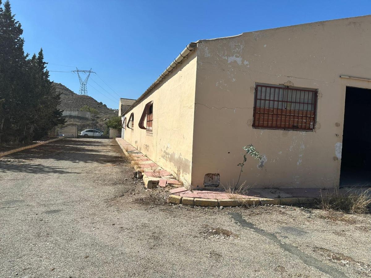 Commercial property à Rojales, Alicante, Espagne 1200 m2 No. 113020