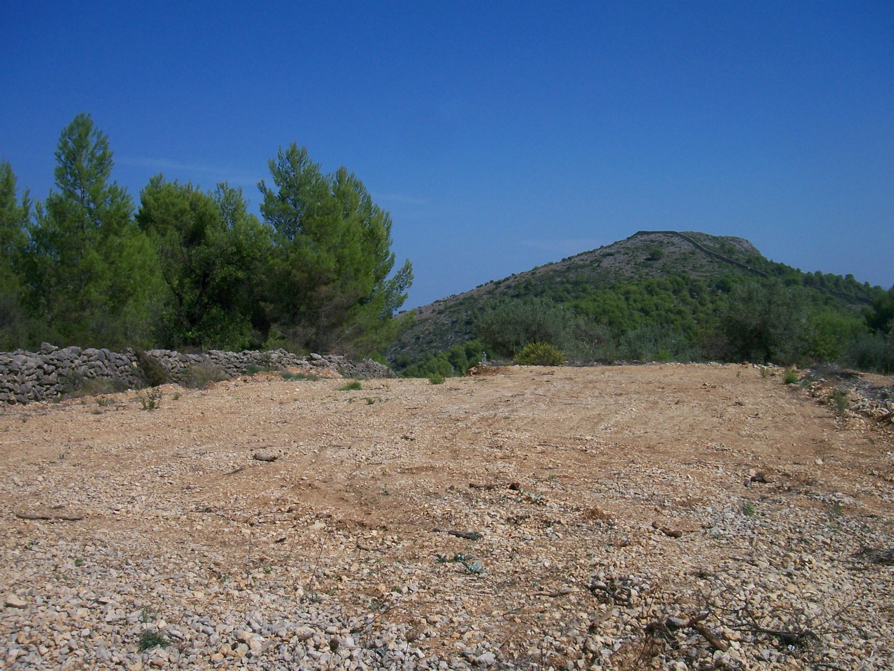 Land in Murla, Alicante, Spanien Nr. 183972