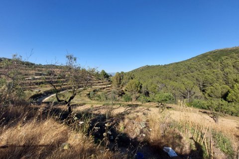 Zemes gabals Jalon, Alicante, Spānijā Nr. 183975