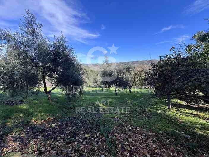 Māja Ronda, Malaga, Spānijā 6 istabas, 200 m2 Nr. 159741