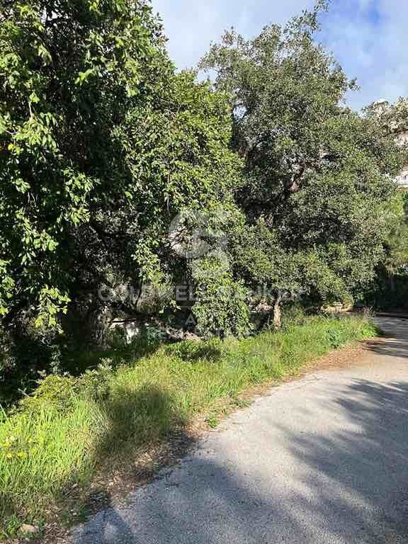 Land plot in Marbella, Malaga, Spain 1091 sq.m. No. 159739
