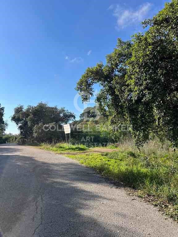 Land plot in Marbella, Malaga, Spain 1091 sq.m. No. 159739