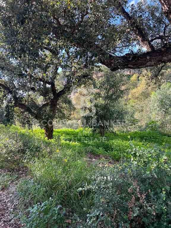 Land plot in Marbella, Malaga, Spain 1091 sq.m. No. 159739