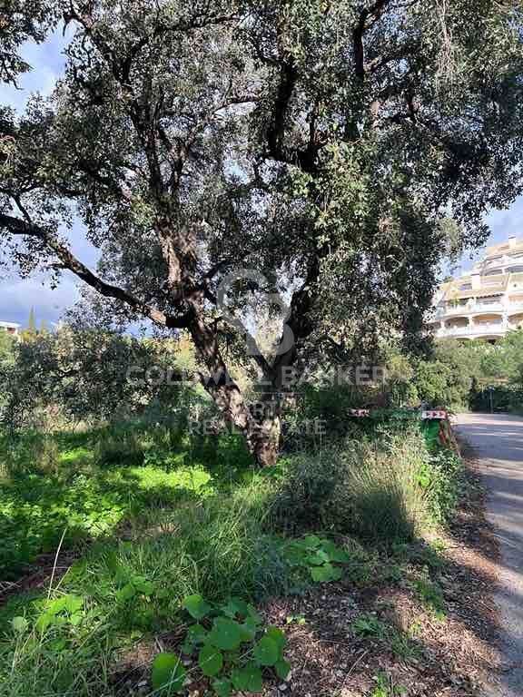Land plot in Marbella, Malaga, Spain 1092 sq.m. No. 159740