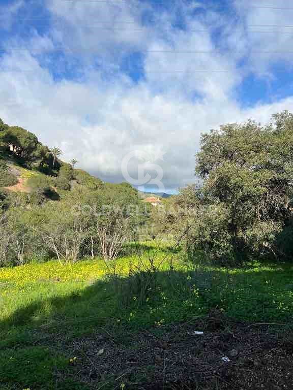 Land plot in Marbella, Malaga, Spain 1092 sq.m. No. 159740