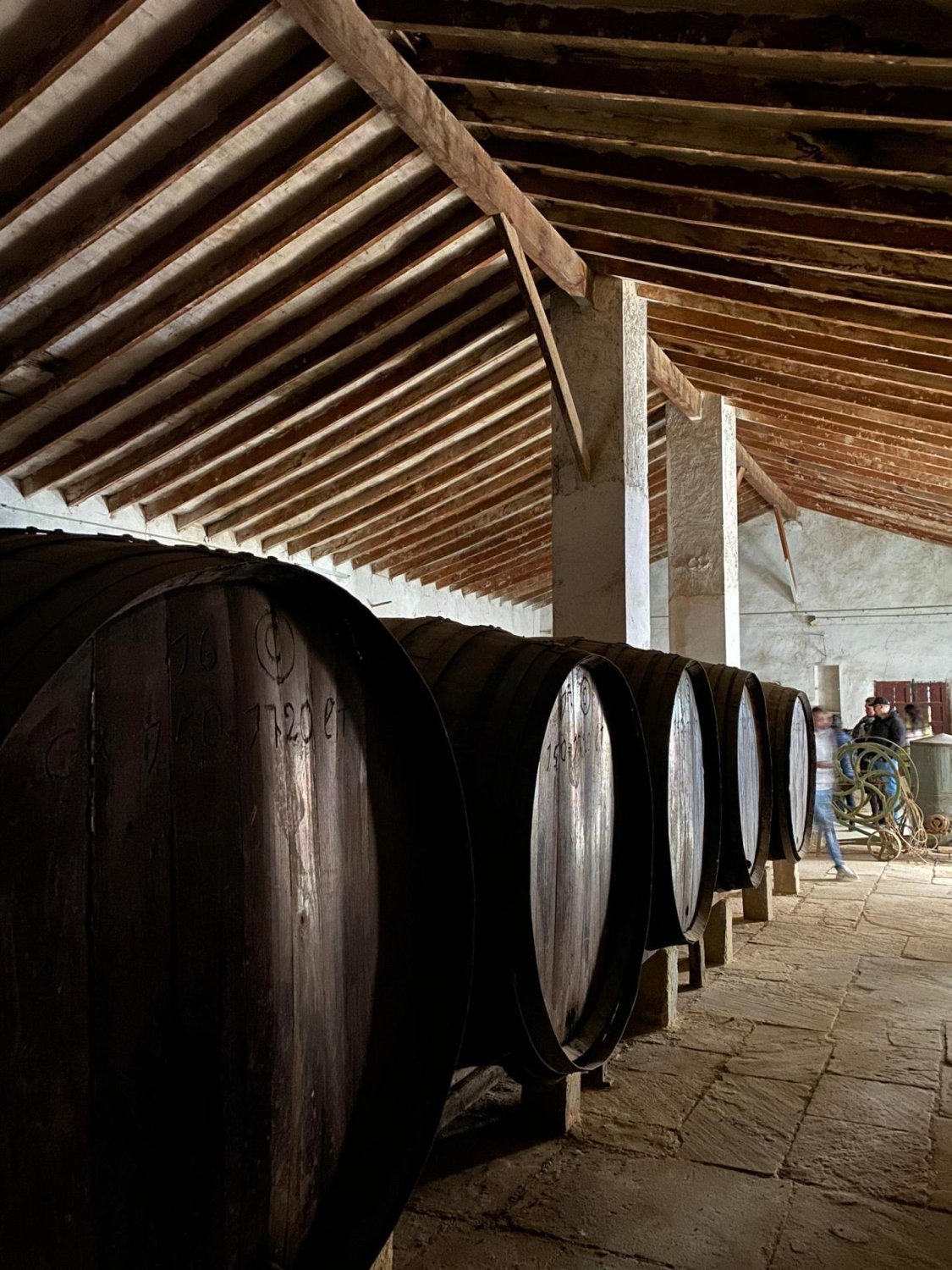 Tienda al por menor en Pinoso, Alicante, España No. 168717