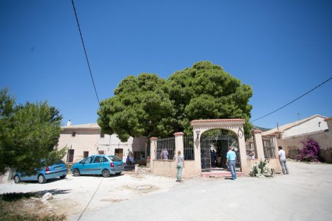 Sklep w Pinoso, Alicante, Hiszpania nr 168717