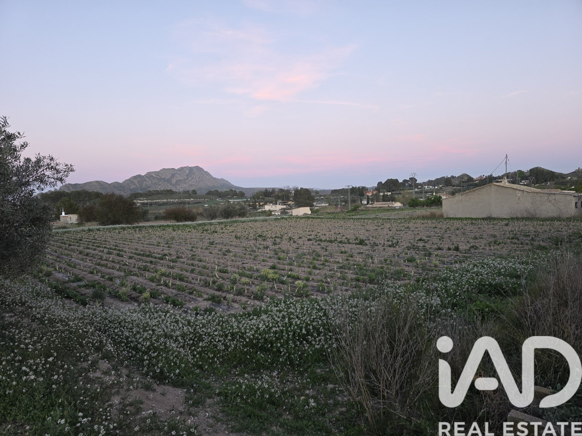 Zemes gabals Calasparra, Murcia, Spānijā 4000 m2 Nr. 188437