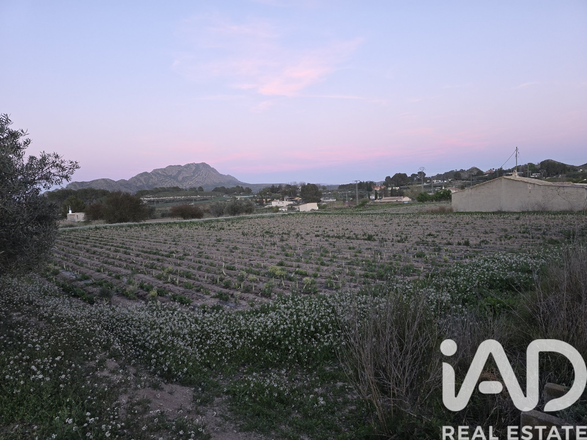 Zemes gabals Calasparra, Murcia, Spānijā 4000 m2 Nr. 188437