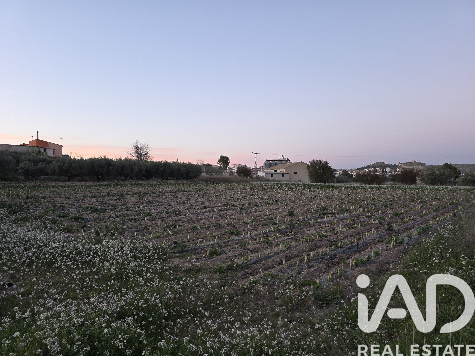 Zemes gabals Calasparra, Murcia, Spānijā 4000 m2 Nr. 188437