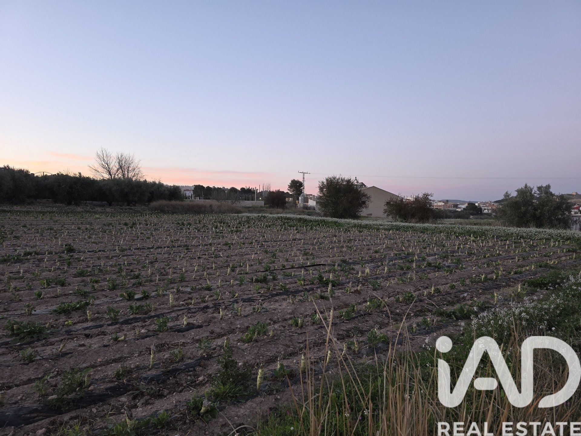 Zemes gabals Calasparra, Murcia, Spānijā 4000 m2 Nr. 188437