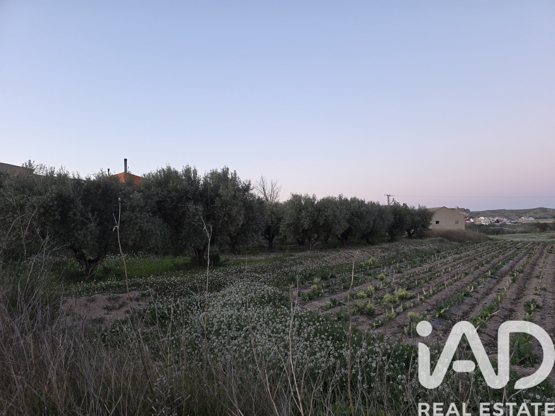 Zemes gabals Calasparra, Murcia, Spānijā 4000 m2 Nr. 188437