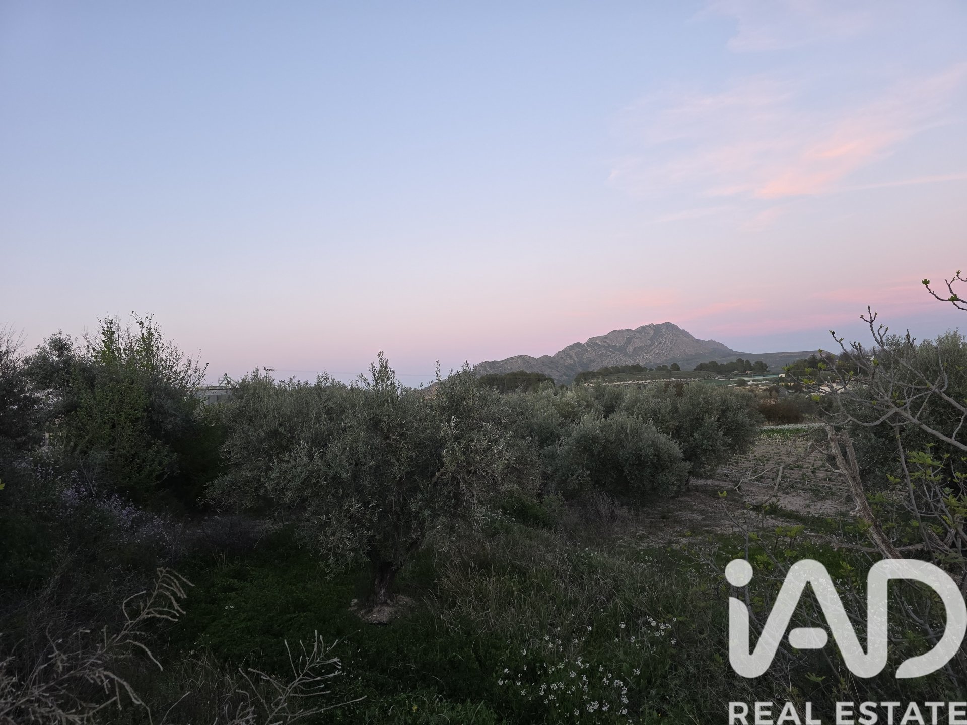 Zemes gabals Calasparra, Murcia, Spānijā 4000 m2 Nr. 188437