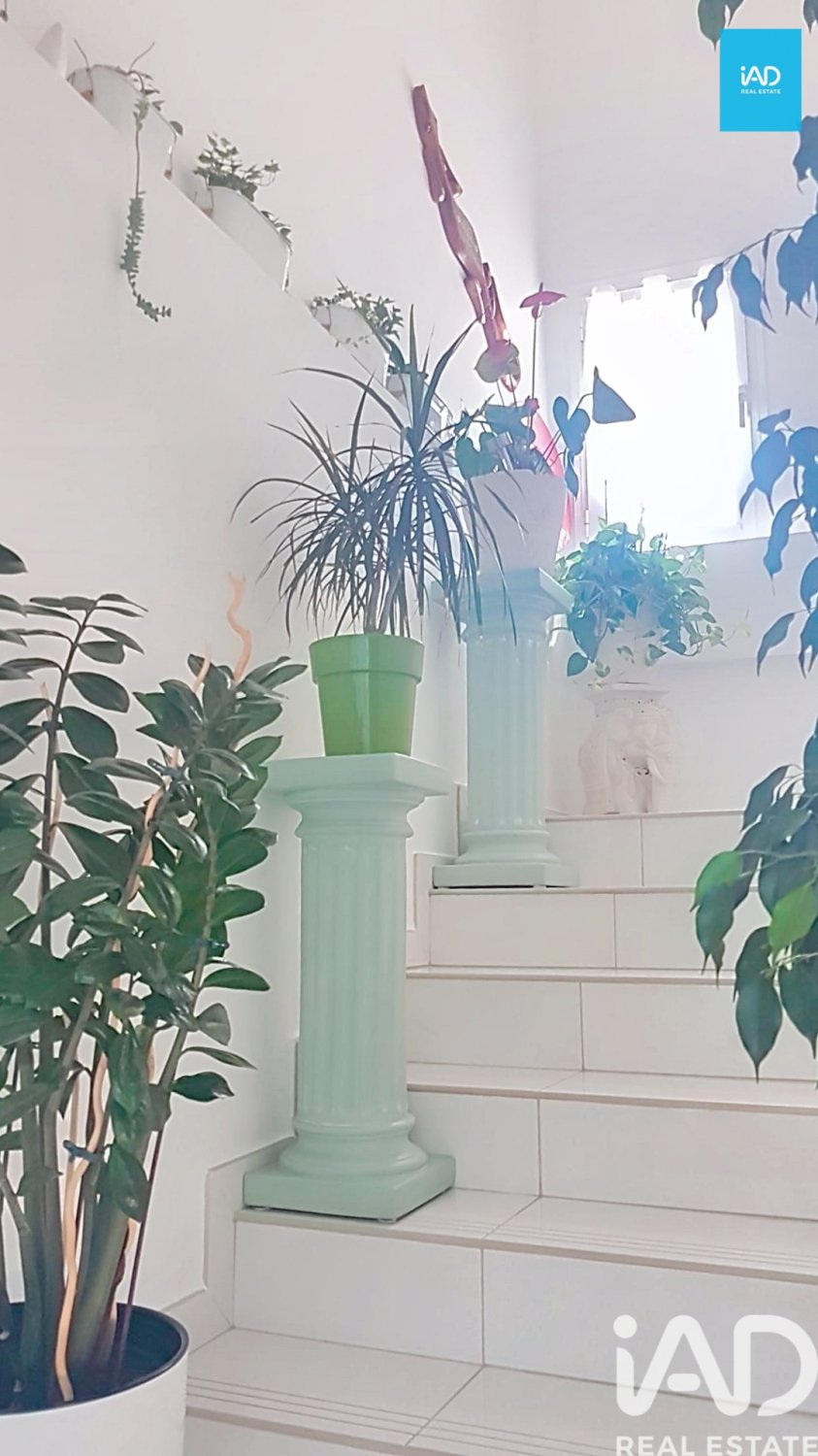 Lokal usługowy w Ibiza town, Ibiza, Hiszpania 528.83 mkw. nr 188435