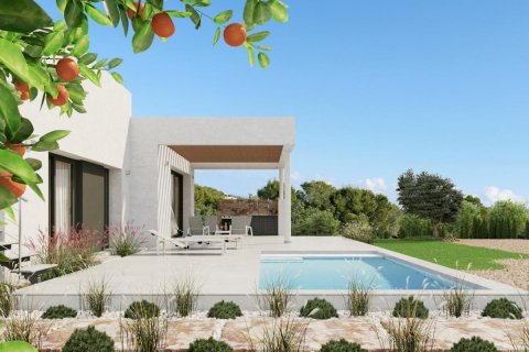 Villa in Alicante, Spanien 3 Schlafzimmer, 140 m2 Nr. 98212