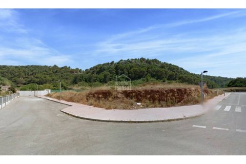 Land plot in Ferreries, Menorca, Spain No. 65536