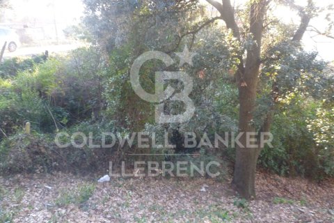 Land in Barcelona, Spanien 550 m2 Nr. 160424