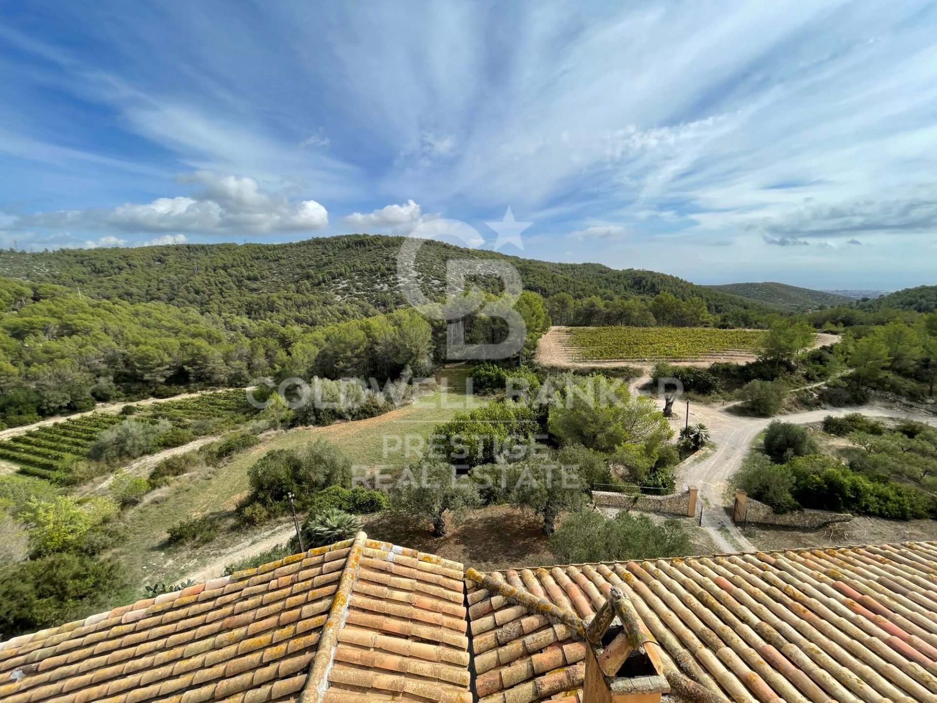 House à Vilanova i la Geltru, Barcelona, Espagne 18 chambres, 4000 m2 No. 160422