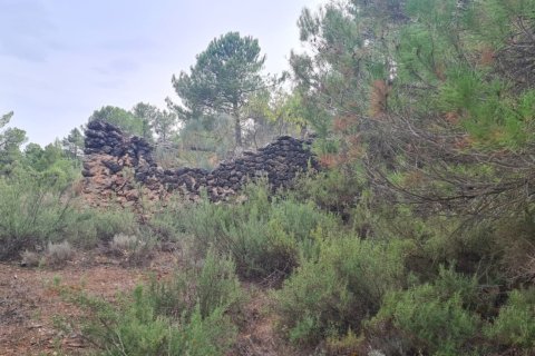 Zemes gabals Albacete, Spānijā Nr. 183917