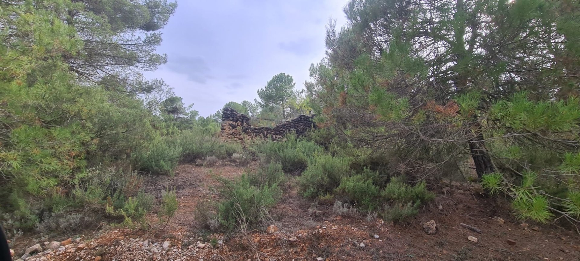 Land plot in Albacete, Spain No. 183917