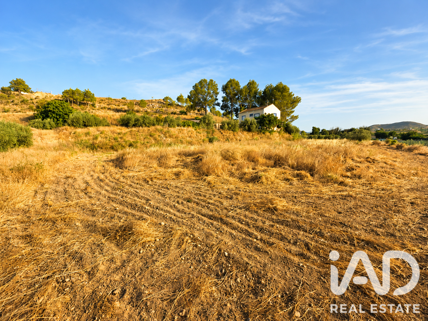 Gewerbeimmobilien in Calasparra, Murcia, Spanien Nr. 188220