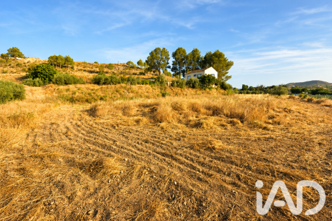 Commercial property in Calasparra, Murcia, Spain No. 188220