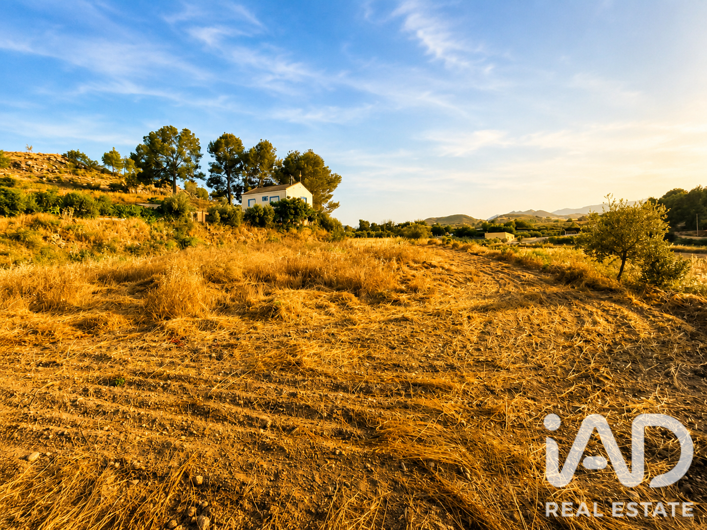 Gewerbeimmobilien in Calasparra, Murcia, Spanien Nr. 188220