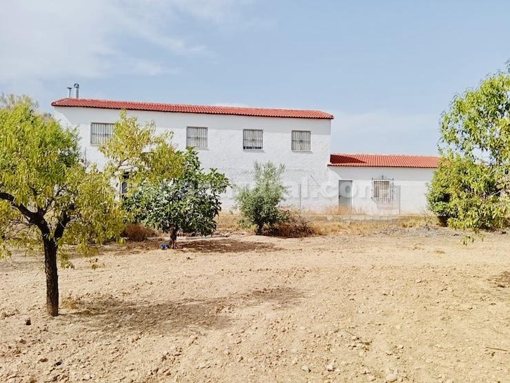 Dom w Albox, Almeria, Hiszpania 3 sypialnie, 170 mkw. nr 183981