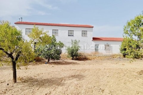 House in Albox, Almeria, Spanien 3 Schlafzimmer, 170 m2 Nr. 183981