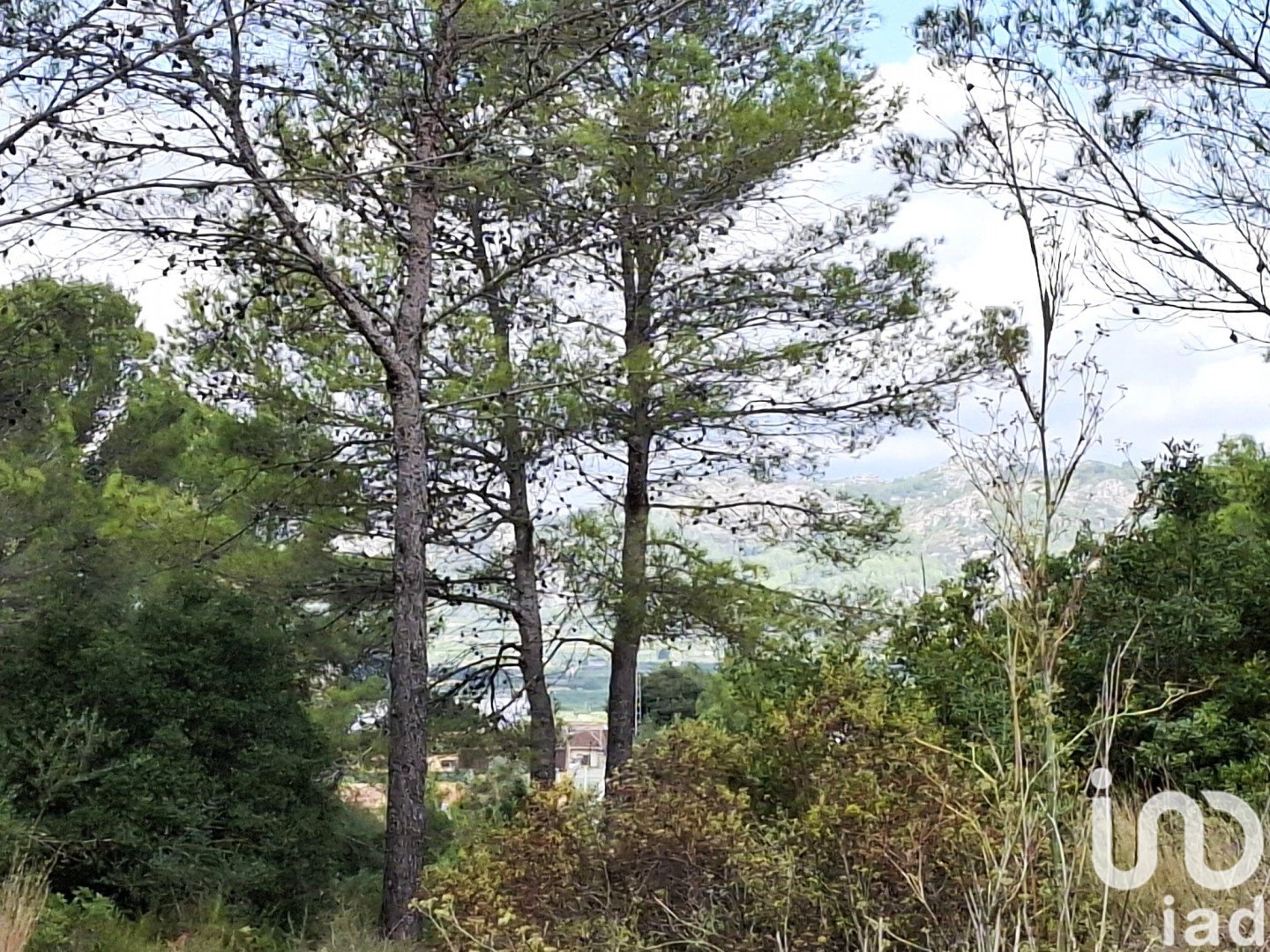 Land in Benidoleig, Alicante, Spanien 10350 m2 Nr. 185647