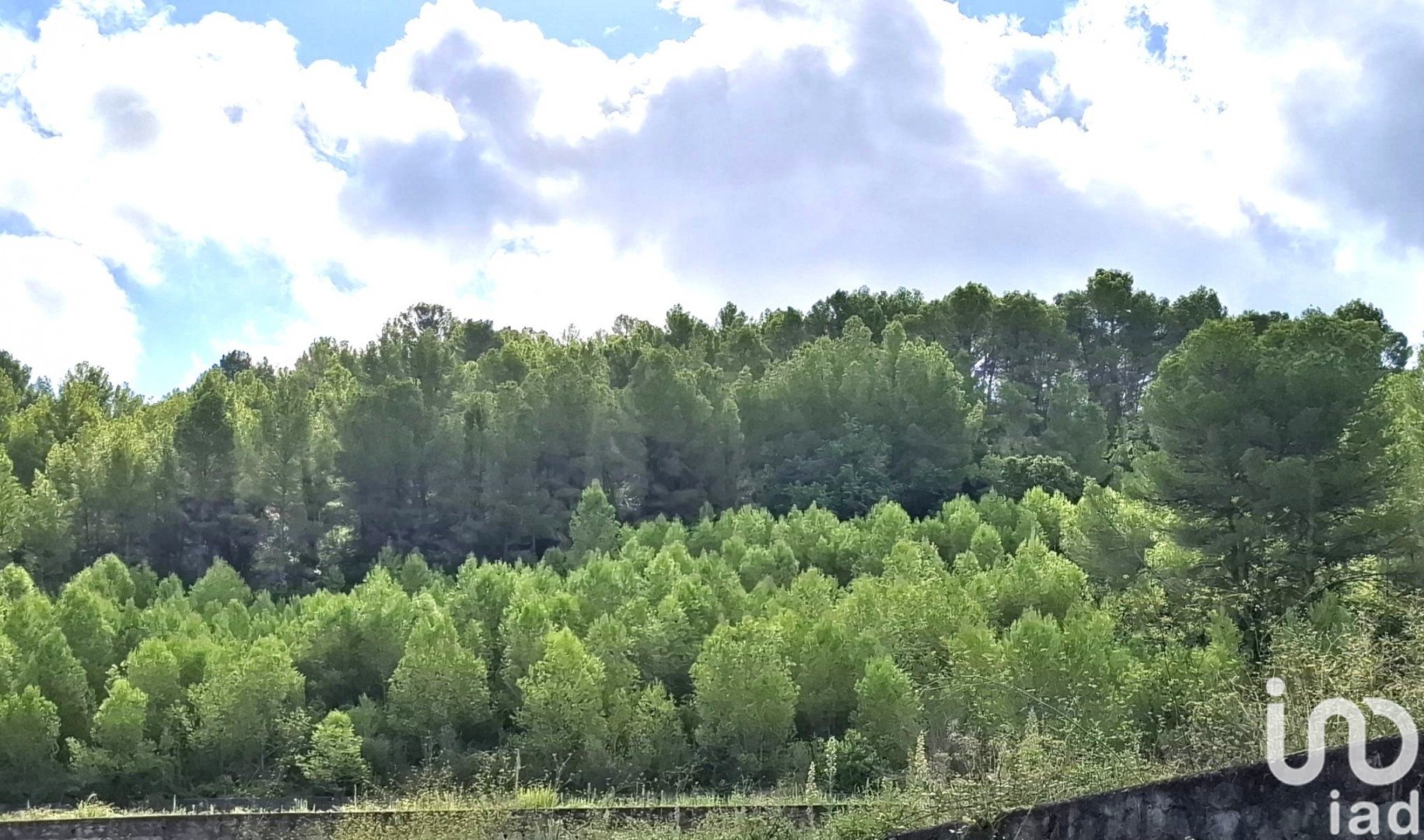 Land in Benidoleig, Alicante, Spanien 10350 m2 Nr. 185647