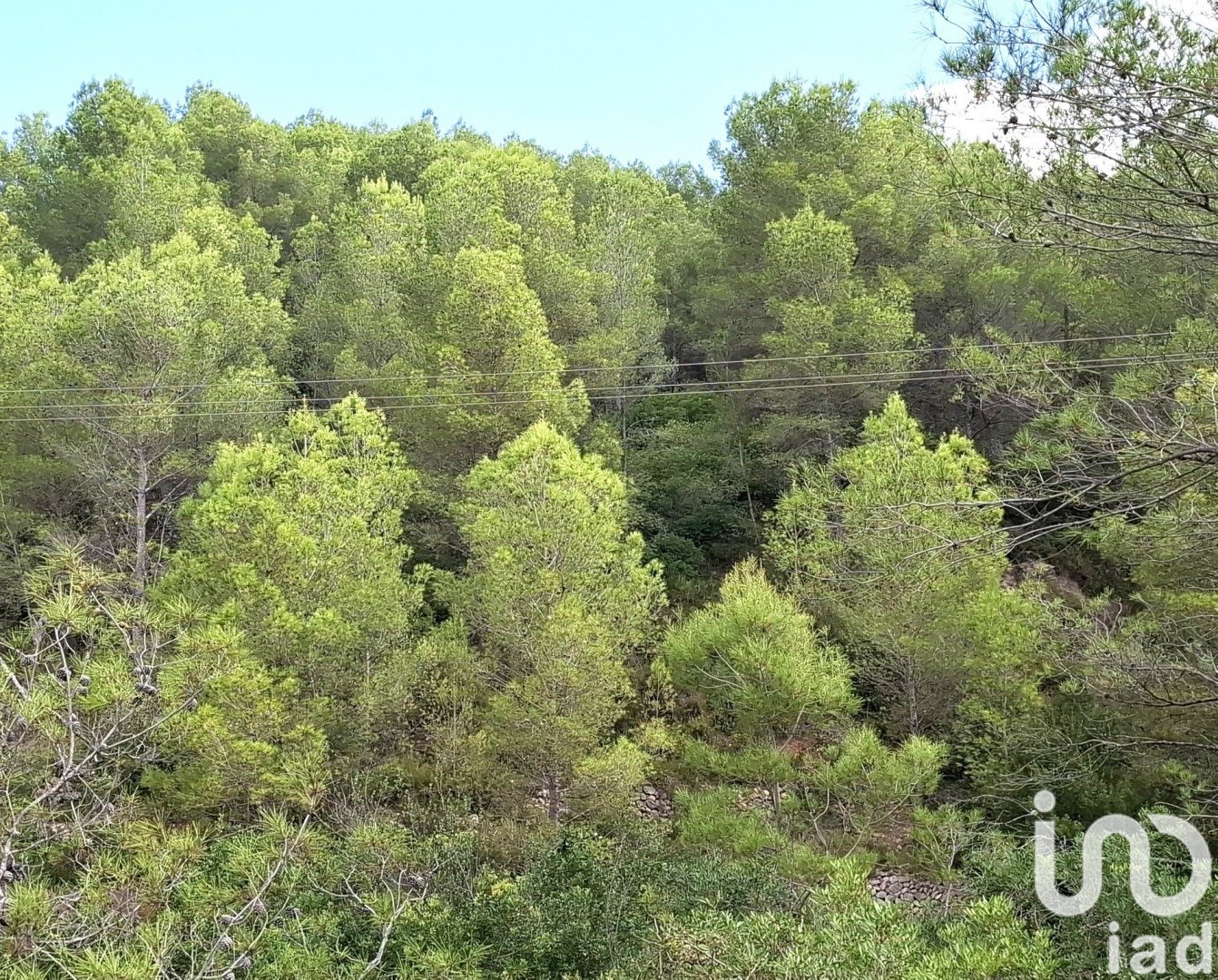 Land in Benidoleig, Alicante, Spanien 10350 m2 Nr. 185647