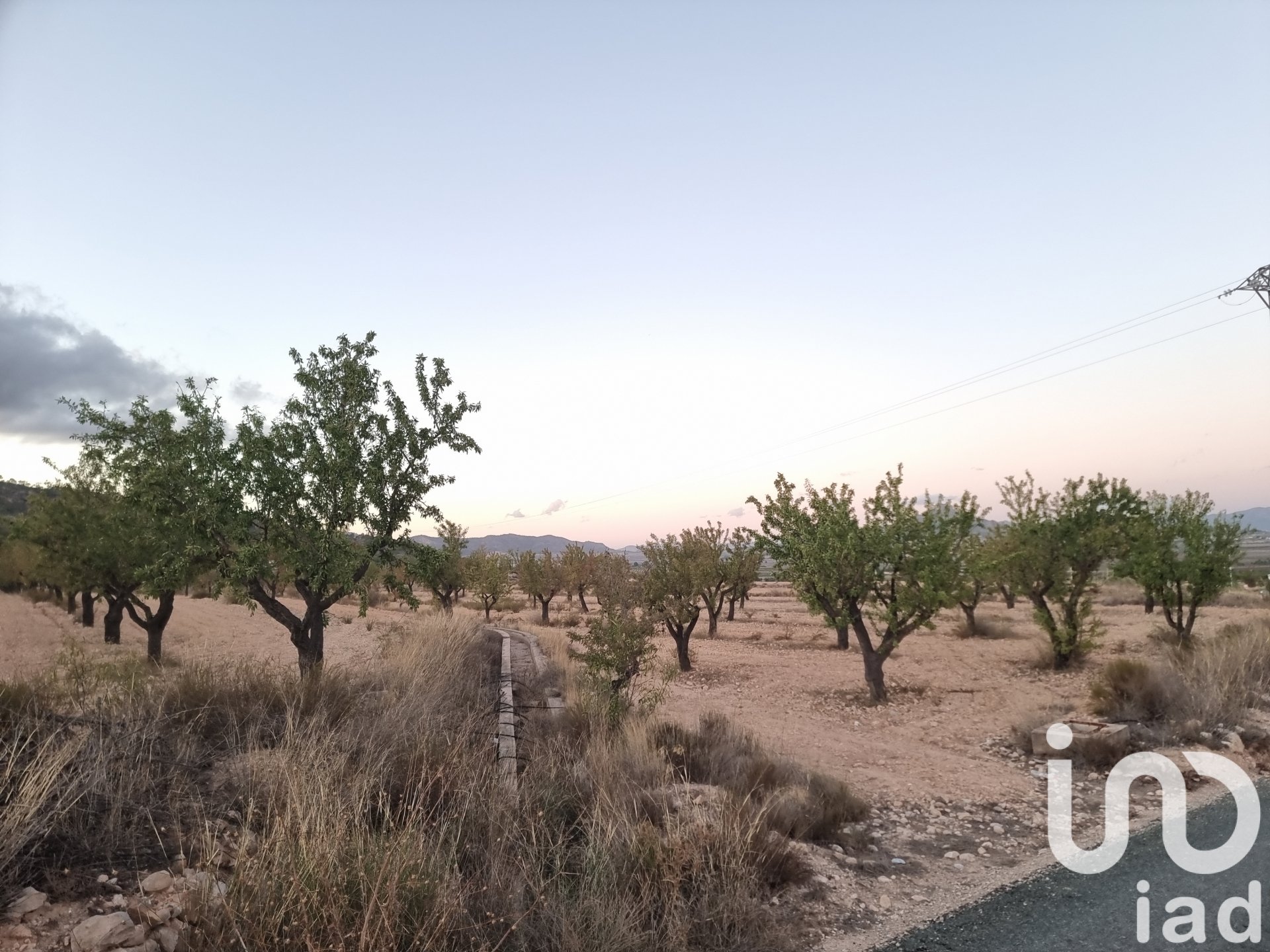 Land plot in Salinas, Alicante, Spain 21460 sq.m. No. 185646