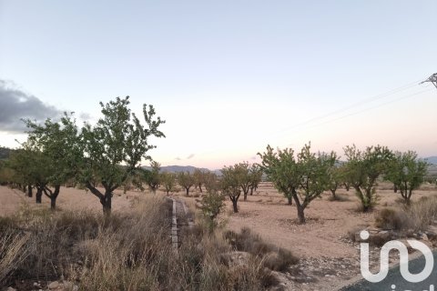 Land plot à Salinas, Alicante, Espagne 21460 m2 No. 185646