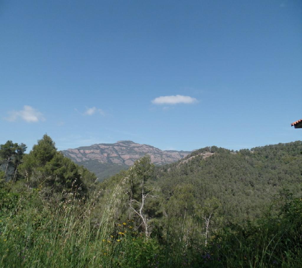 Parcela en Castellar del Vallès, Barcelona, España No. 191310