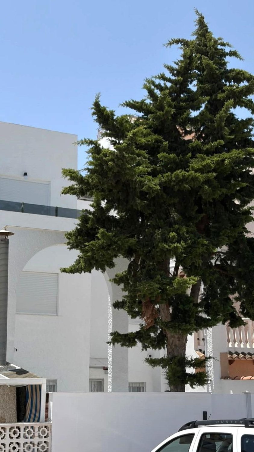 Villetta a schiera a Torrevieja, Alicante, Spagna 3 camere da letto, 70 mq. N° 190131