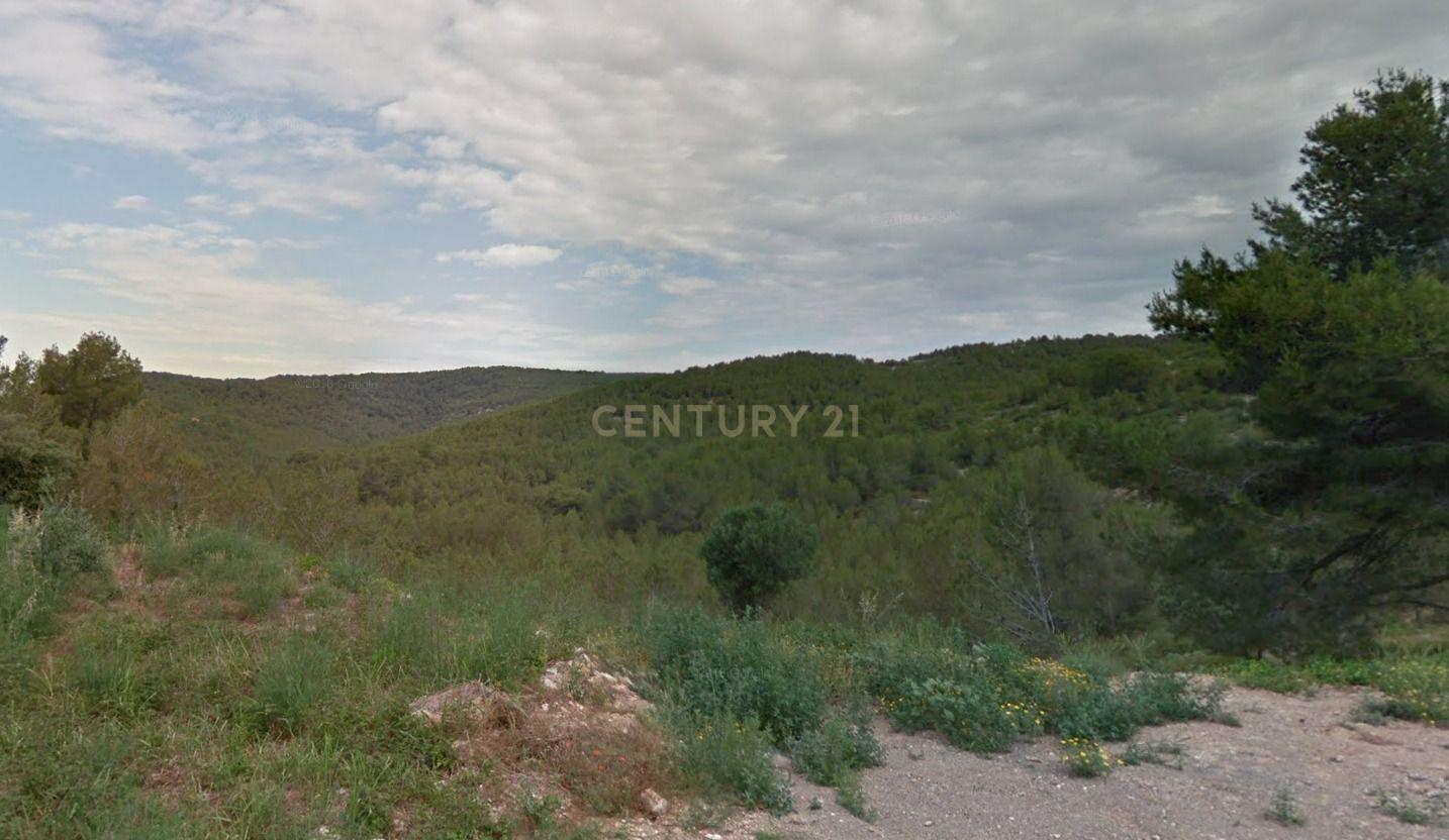 Land plot in Castellet i la Gornal, Barcelona, Spain No. 186339