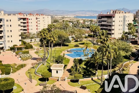 Huoneisto Elche, Alicante, Espanja 1 makuuhuone, 64 m2 No. 172590