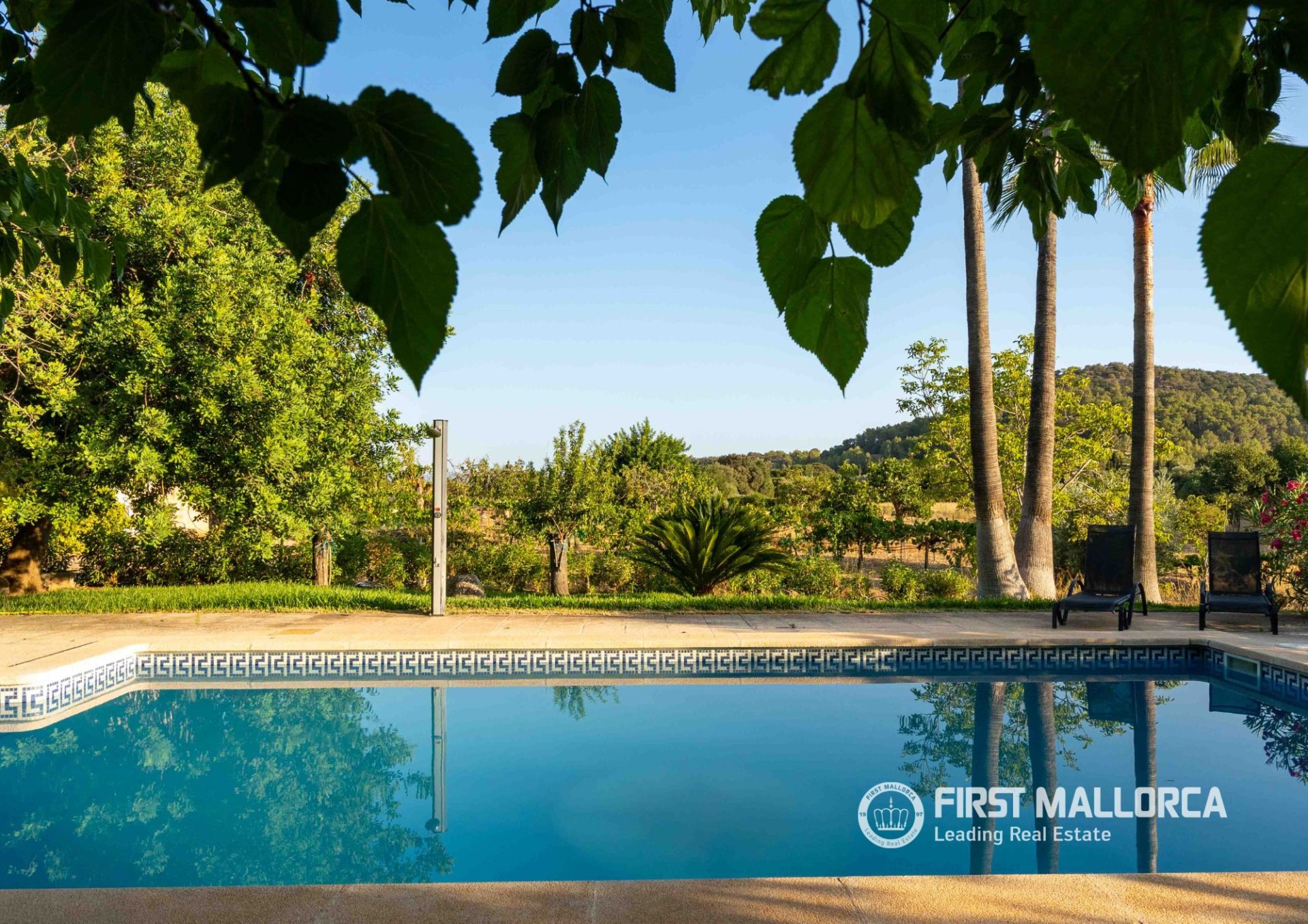 Finca Alaro, Mallorca, Espanja 7 makuuhuonetta, 484 m2 No. 194099